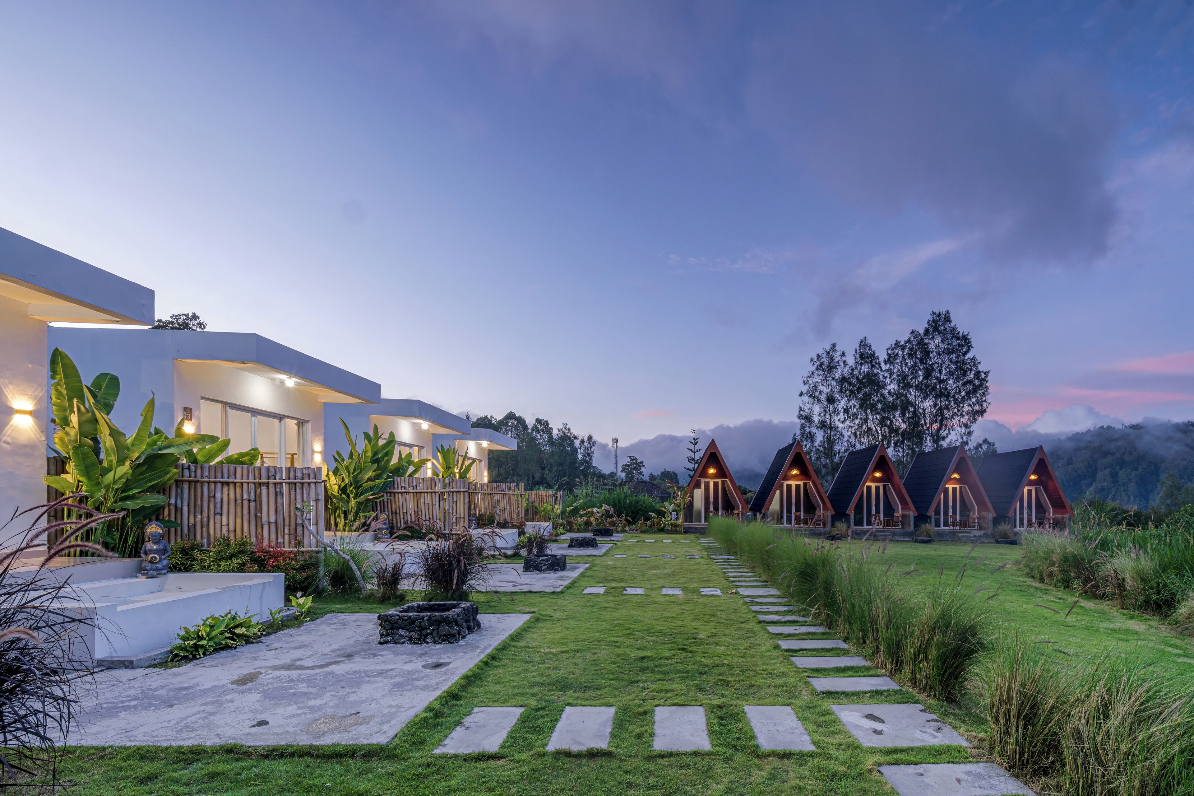 Garden view