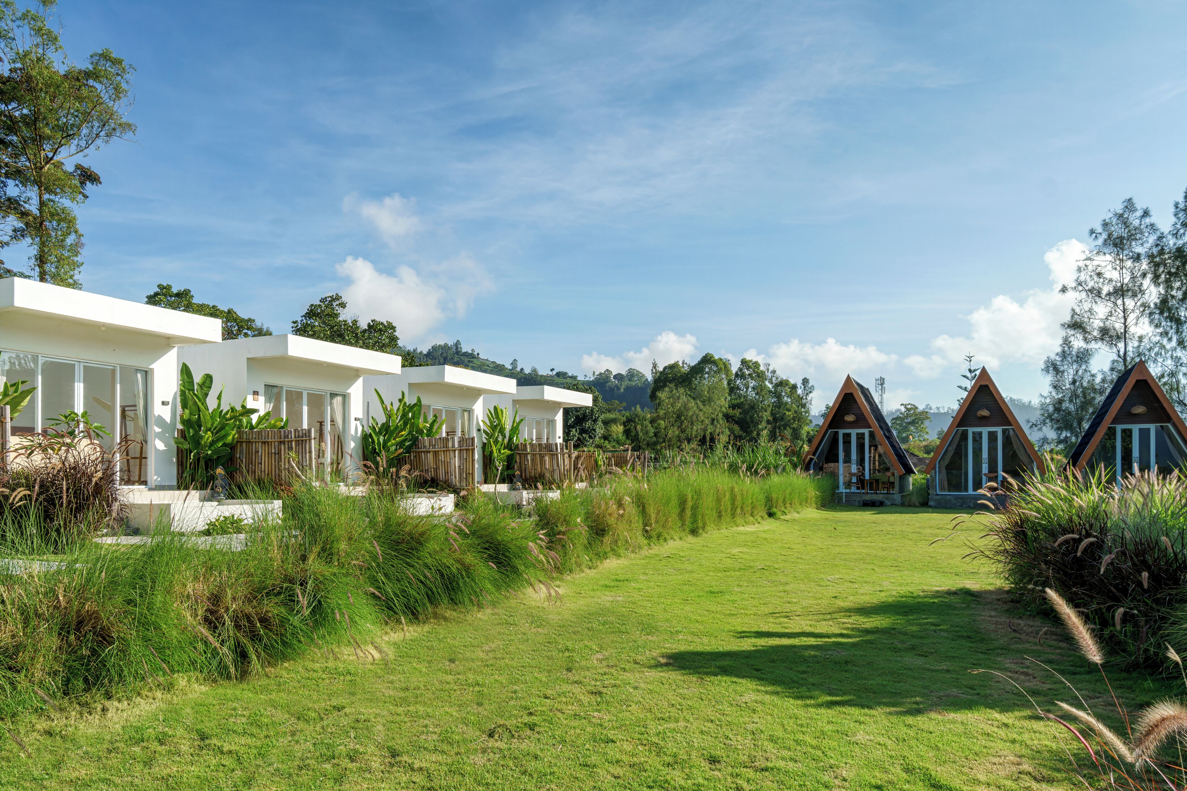A pathway leading to a row of modern houses with large windows and a well-maintained lawn.