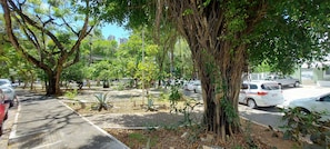 Escape to a tranquil oasis amidst the city, surrounded by mature trees and a paved walkway.