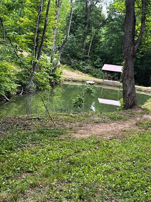 Property grounds - Lansing,  North Carolina Appalachian Solar Powered Cabin Paradise (Lansing)