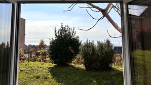 Shared Dormitory, 1 Bedroom, Garden View | Interior