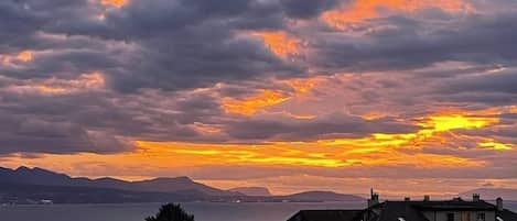 Vista desde la propiedad