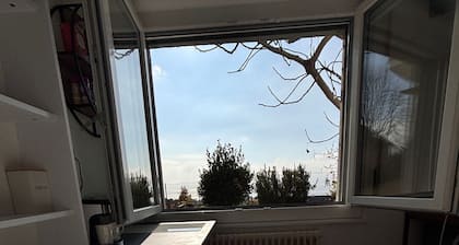 Room-lake View Room in Pully With Washin