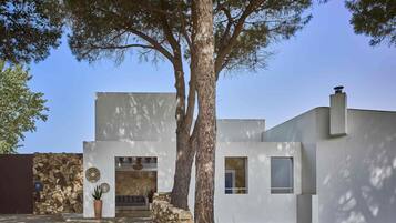 Un edificio moderno con un acceso de pared de piedra, un gran árbol en frente y un cielo despejado.