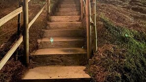 A nighttime staircase with wooden railings and torches, leading to a building with a glass facade. - Samadhi Glamping (El Penol)