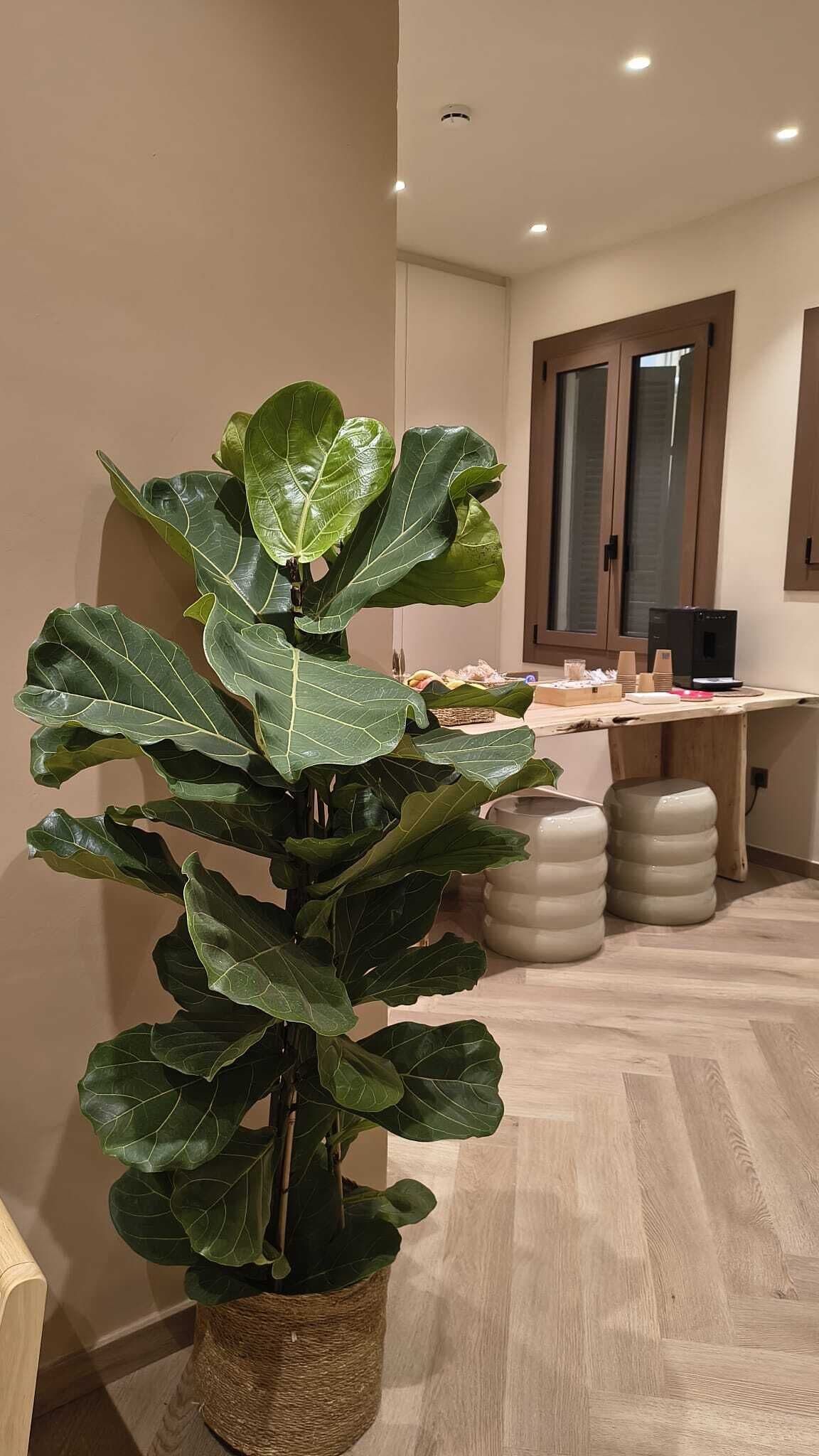 Foto - Hostal Ambos Mundos