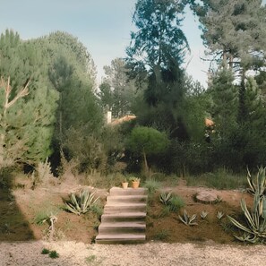 Terrain de l’hébergement 