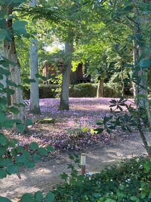 Áreas de la propiedad