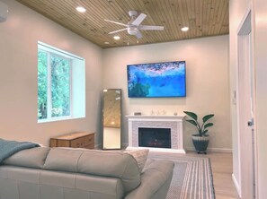 Smart TV, chimenea, libros