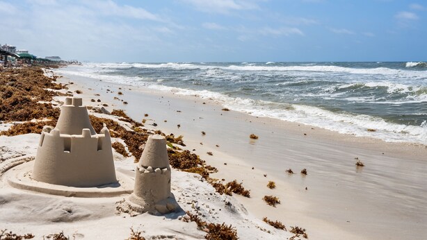 A beach with sandcastles and seaweed. - 3Zs Beach House 30A  Sleeps 10! (Inlet Beach)