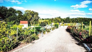 A gravel path leading through a garden with various plants and a small building with a red roof.
