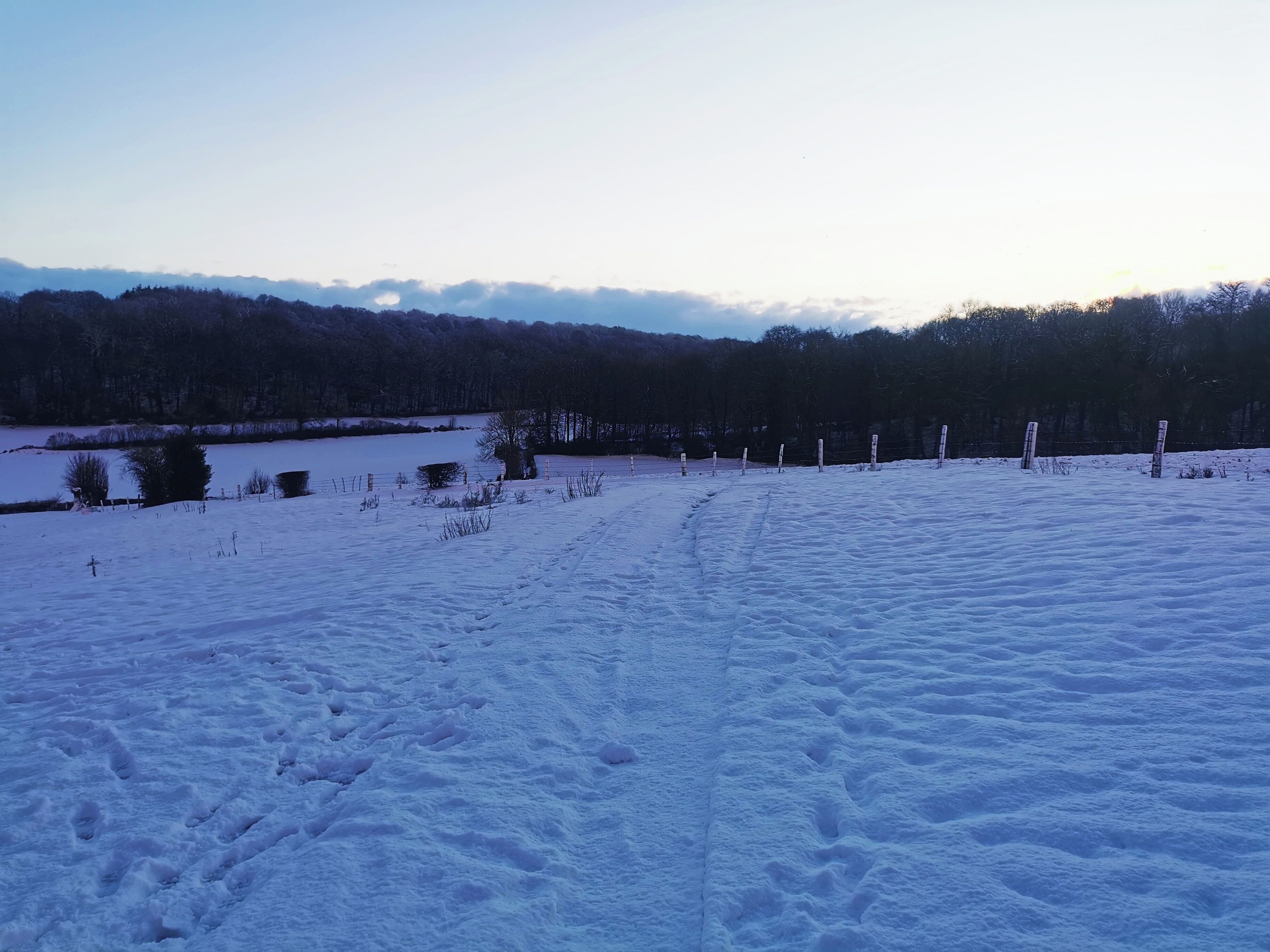 Schnee bedeckte Landschaft mit einem klaren Weg, einem Zaun und einem Wald im Hintergrund.