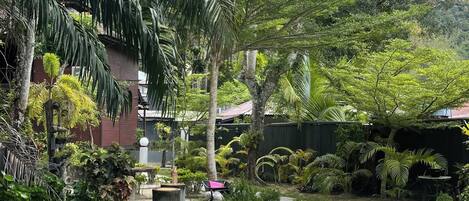 A garden pathway with various plants and trees, a small seating area, and a building in the background.