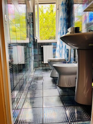 Shower, hair dryer, bidet, towels