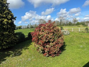 Property grounds - FAMILY HOME BETWEEN SEA AND COUNTRYSIDE (Blainville-sur-Mer)