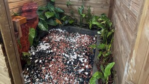 A wooden cabin with a small garden area containing pebbles and plants. - O refuge d'Hell-Bourg (Salazie)