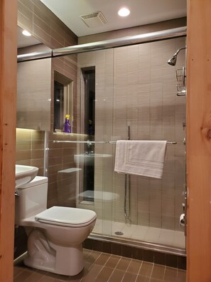 Shower, towels, toilet paper