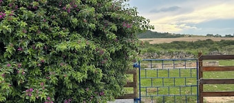 Beautiful Centennial Farm in Três Corações