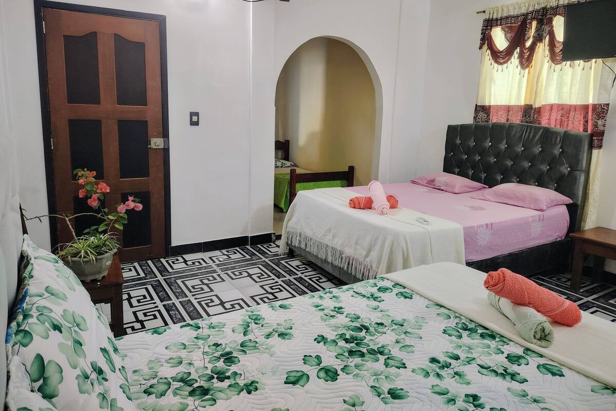 A hotel room with a bed, a chair, a potted plant, and a door.