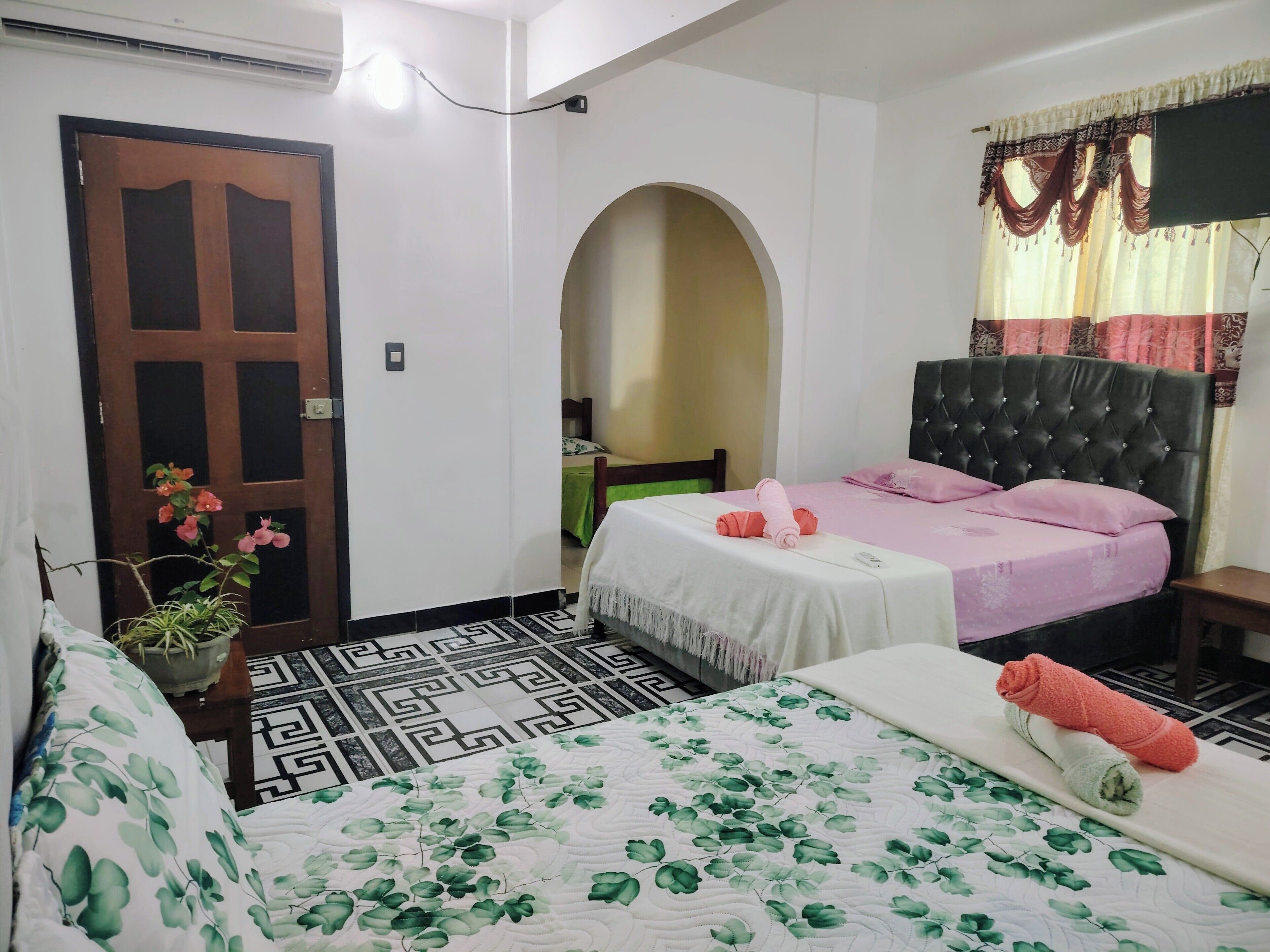 Habitación de hotel con una cama, una silla, una mesita, una planta en maceta y una puerta.
