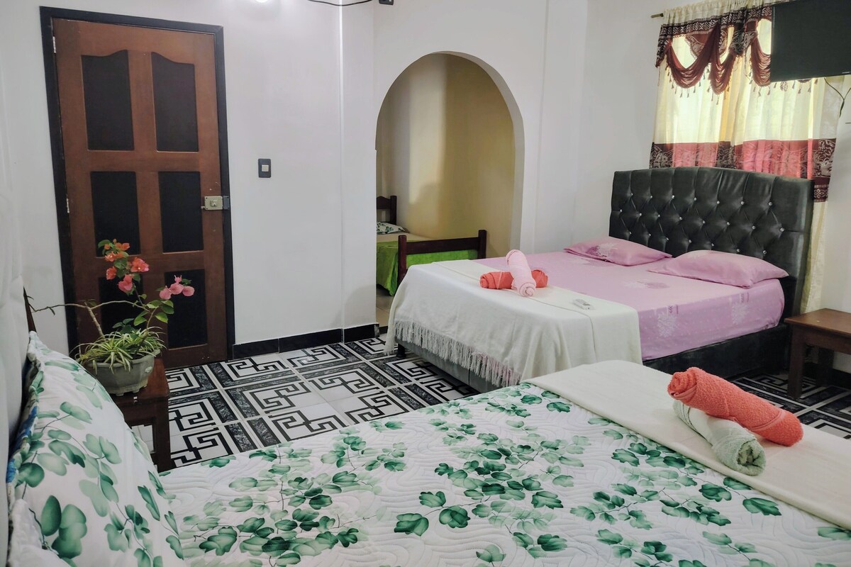 Ein Hotelzimmer mit Bett, Stuhl, kleinem Tisch, Zimmerpflanze und Tür.