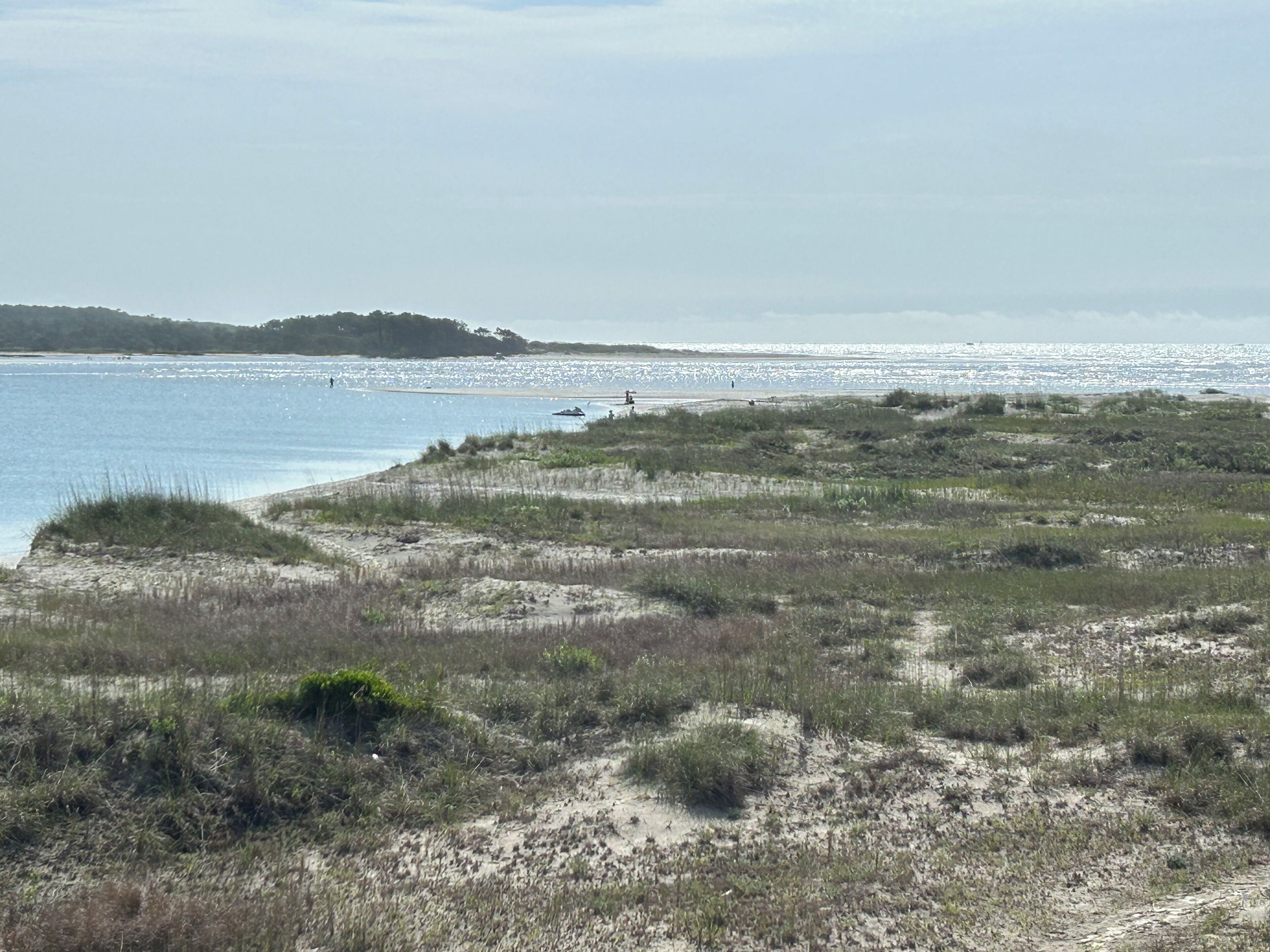 Paesaggio costiero con spiaggia sabbiosa, vegetazione rada e una collina in lontananza.