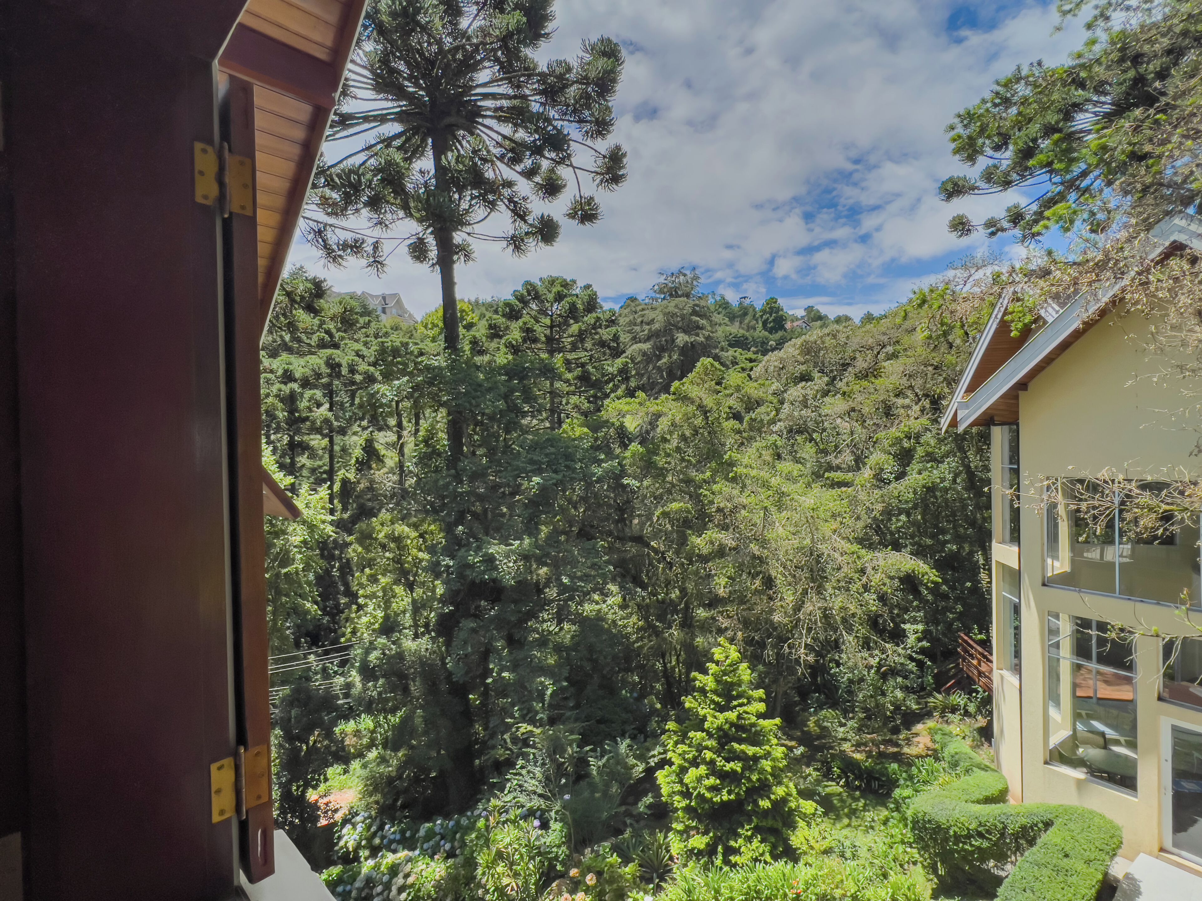 Foto - Araucária Lodge - 800 metros do Capivari