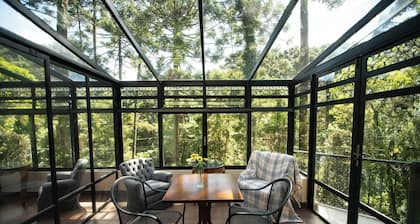 Araucária Lodge