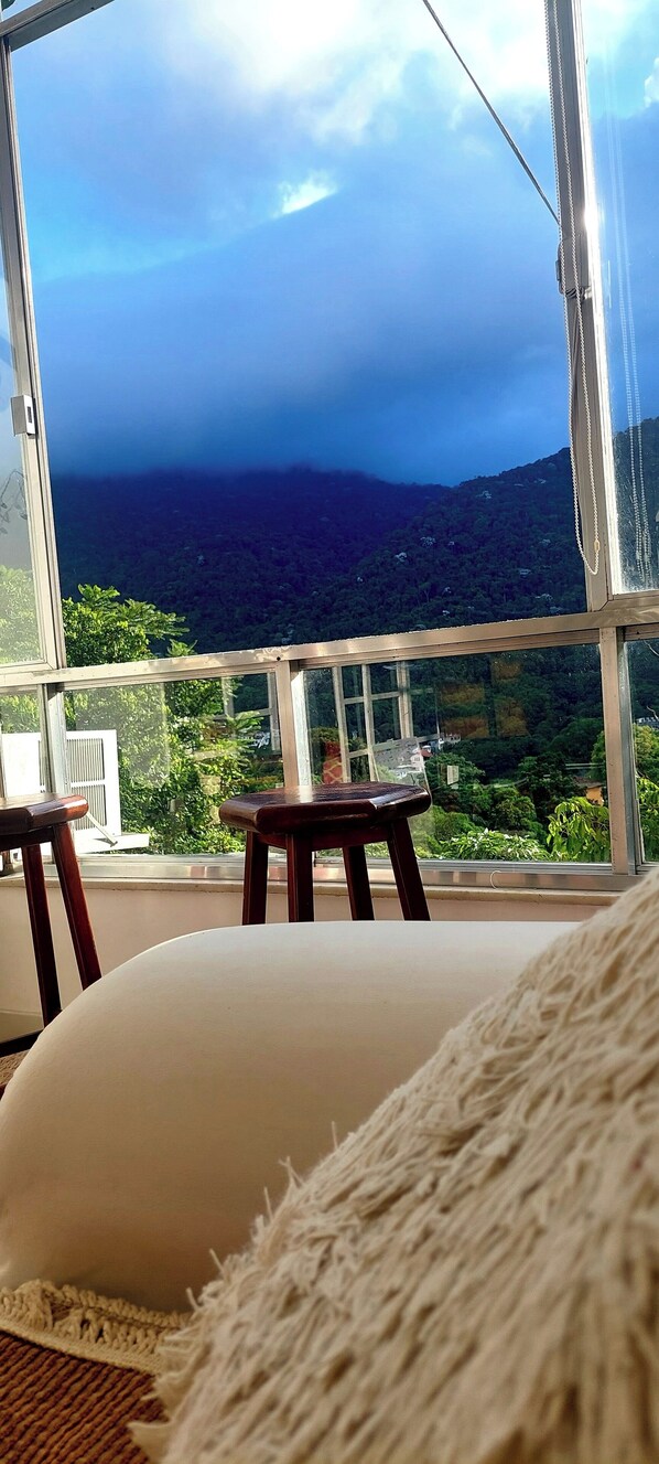 2 bedrooms, iron/ironing board, WiFi, bed sheets - Spectacular view of Christ the Redeemer - Best in Rio: peace, arts and nature , (Santa Teresa Rio de Janeiro)