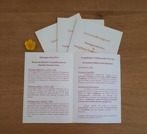 Miscellaneous - Gîte/Studio sleeps 2 with enclosed garden (pets welcome) and large shower. (Loubressac)