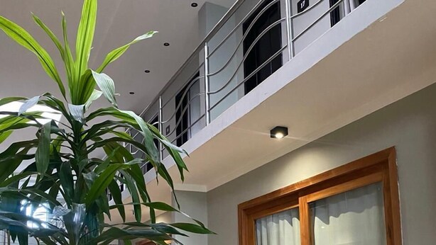 Un hall spacieux agrémenté d’une grande plante en pot, doté d’un plancher en bois et d’une porte-fenêtre coulissante.