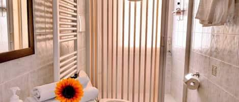 Shower, hair dryer, bidet, towels