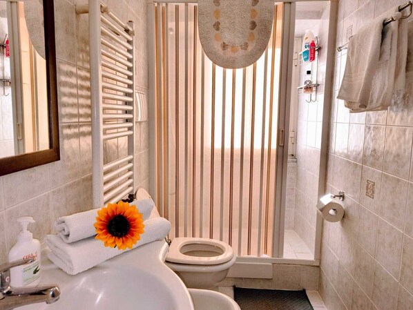 Shower, hair dryer, bidet, towels