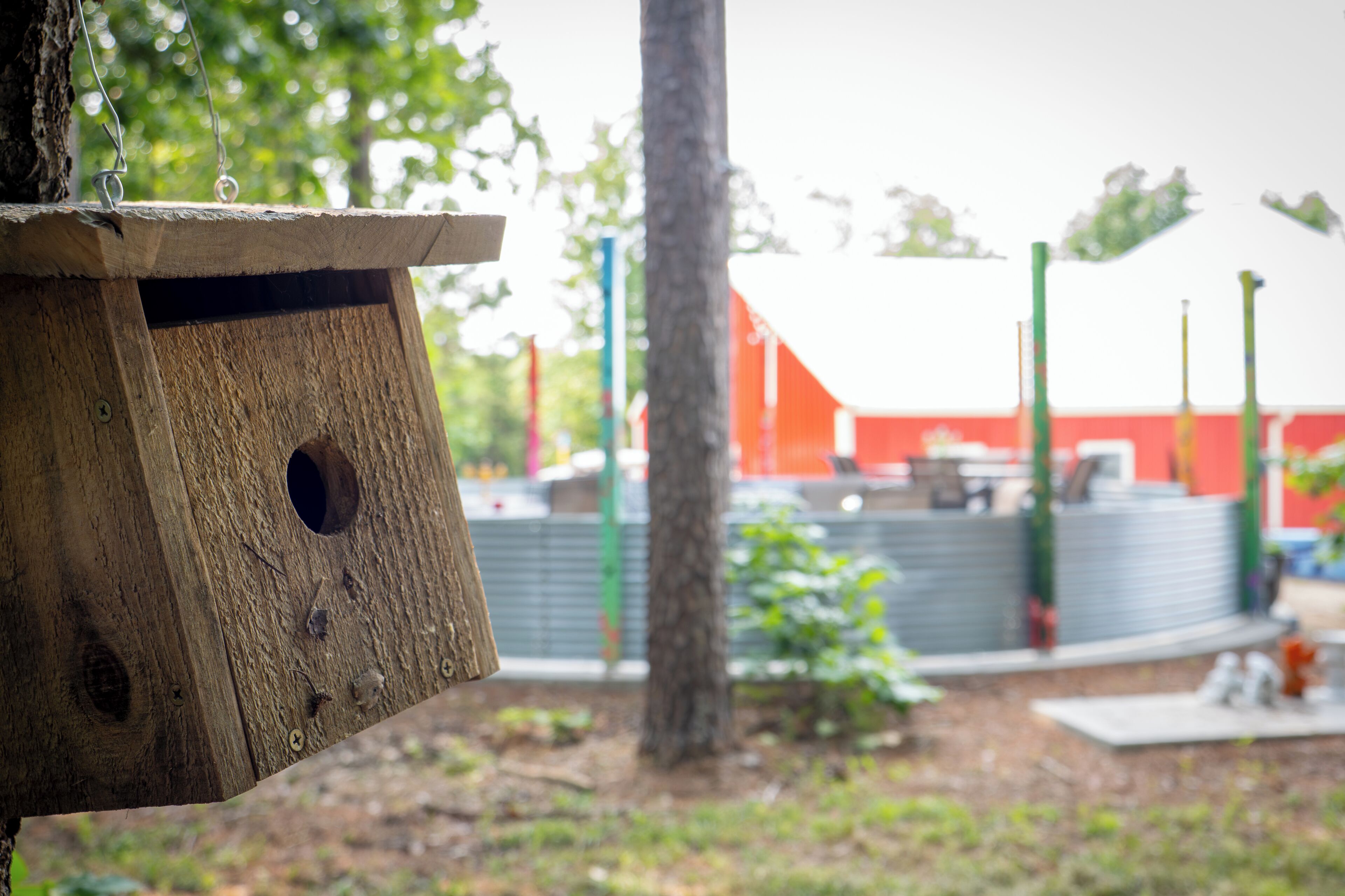 A wooden birdhouse hanging from a tree.