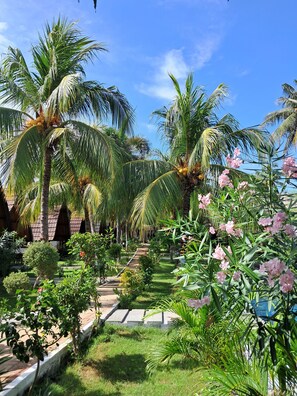 Garden - Pandan Bungalow (Gili Air)