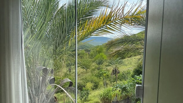 A window with a view of a lush landscape, including palm trees and a distant mountain. - Hotel Fazenda Vale dos Guaribas (Abaíra)