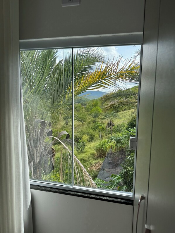 スイート | WiFi (無料)