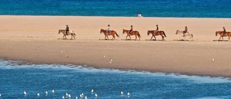 Privat strand i nærheten