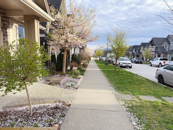 Área da propriedade