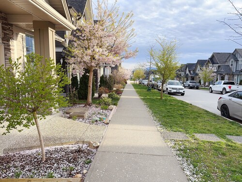 Tranquil touch-2BR comfort suite