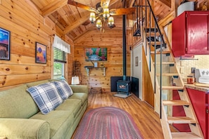 Smart TV, fireplace, DVD player, books