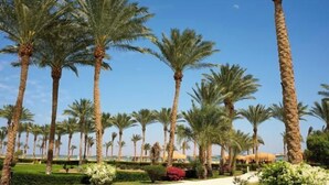 A row of tall palm trees in a well-maintained garden area with a clear sky. - Coral Sea Waterworld Sharm El Sheikh (Qesm Sharm Ash Sheikh)