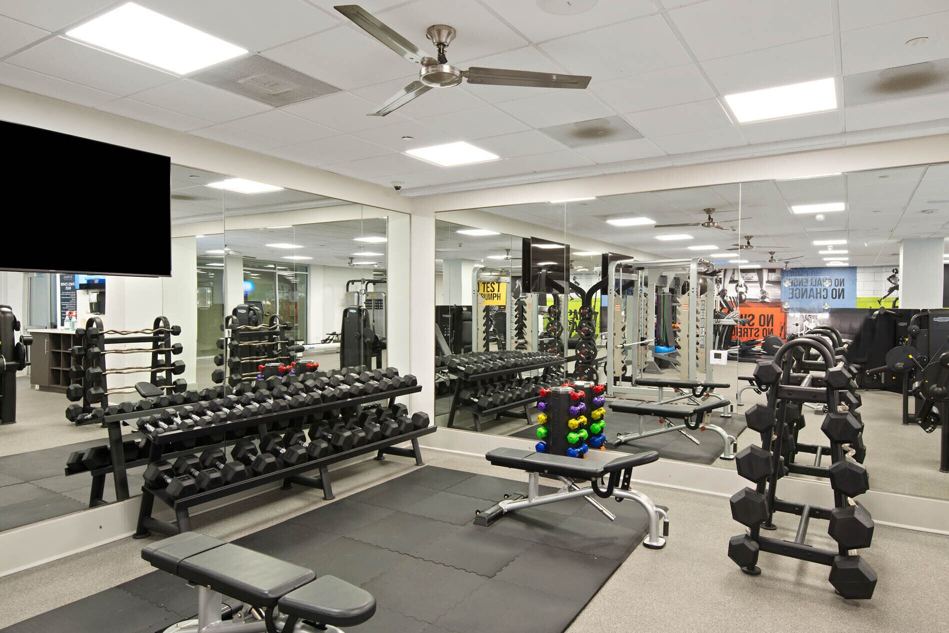 Une salle de sport équipée de divers appareils de musculation, de miroirs et d’un ventilateur au plafond.