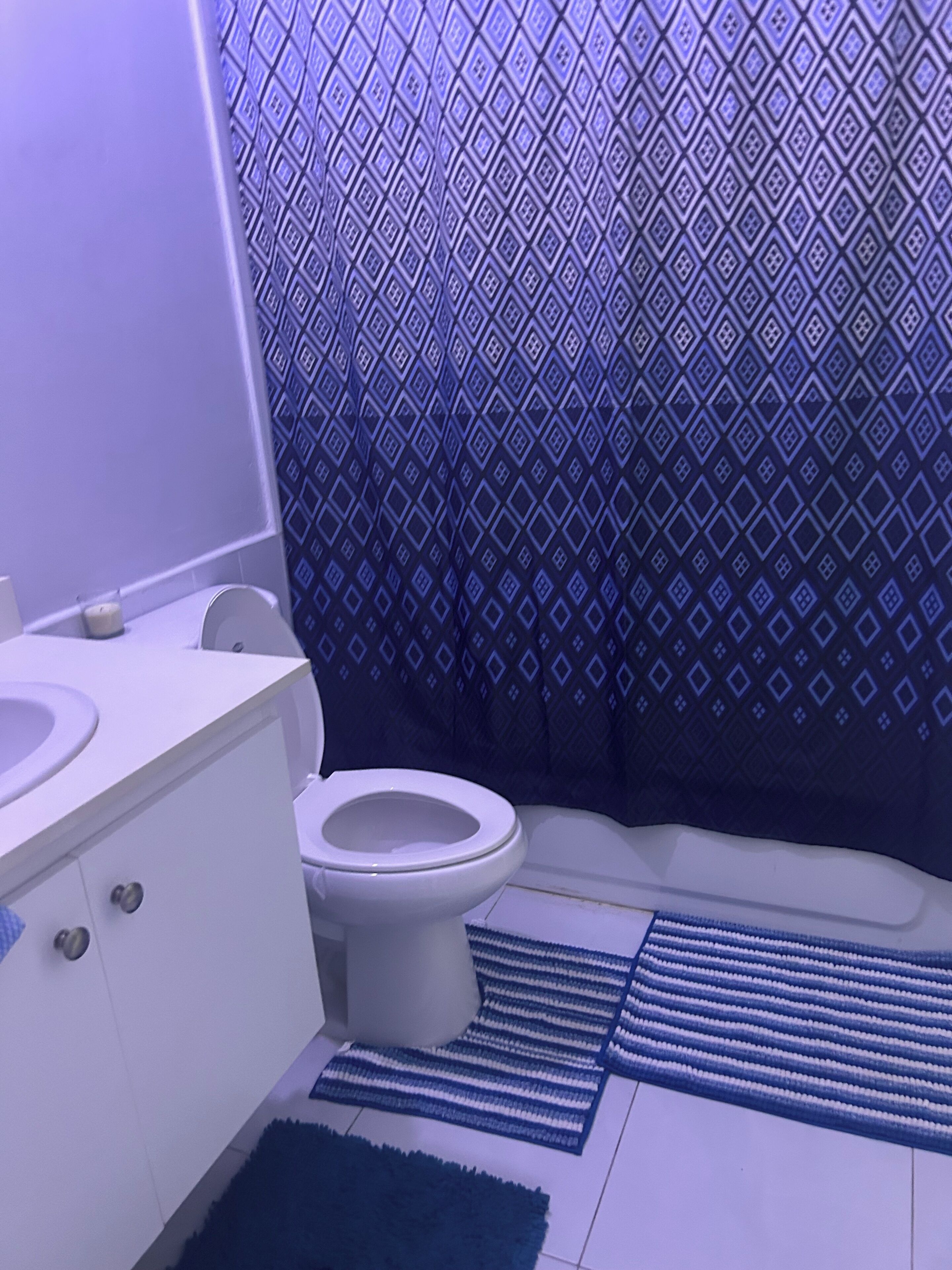 Serviettes fournies, savon, papier toilette