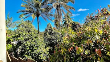 Premier Apartment | Property grounds