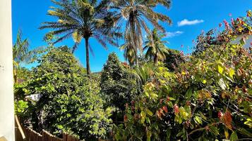 Apartamento premier | Área da propriedade