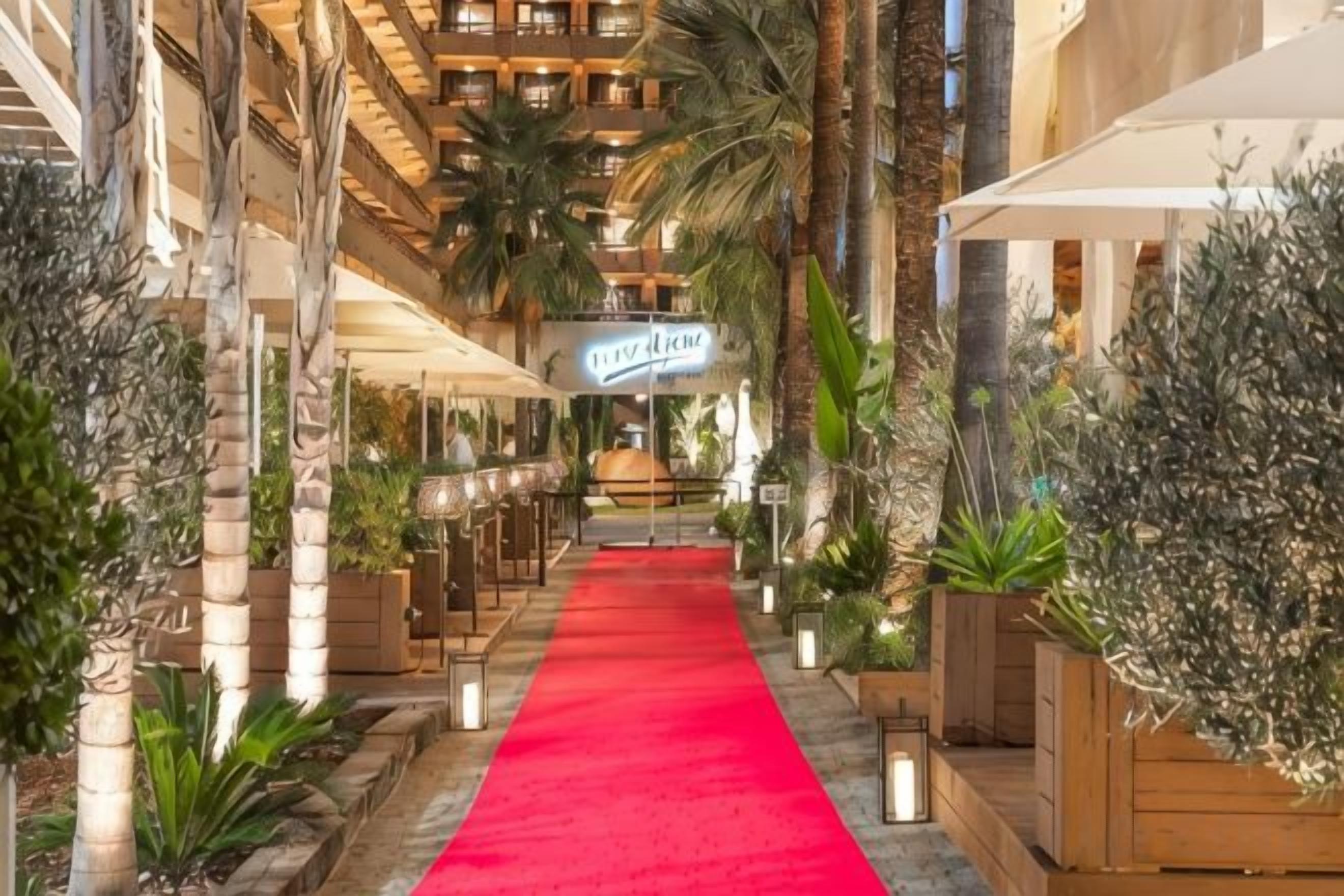 Un pasillo de hotel con alfombra roja, bancos de madera y plantas en macetas.