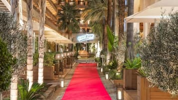 Un pasillo de hotel con alfombra roja, bancos de madera y plantas en macetas.