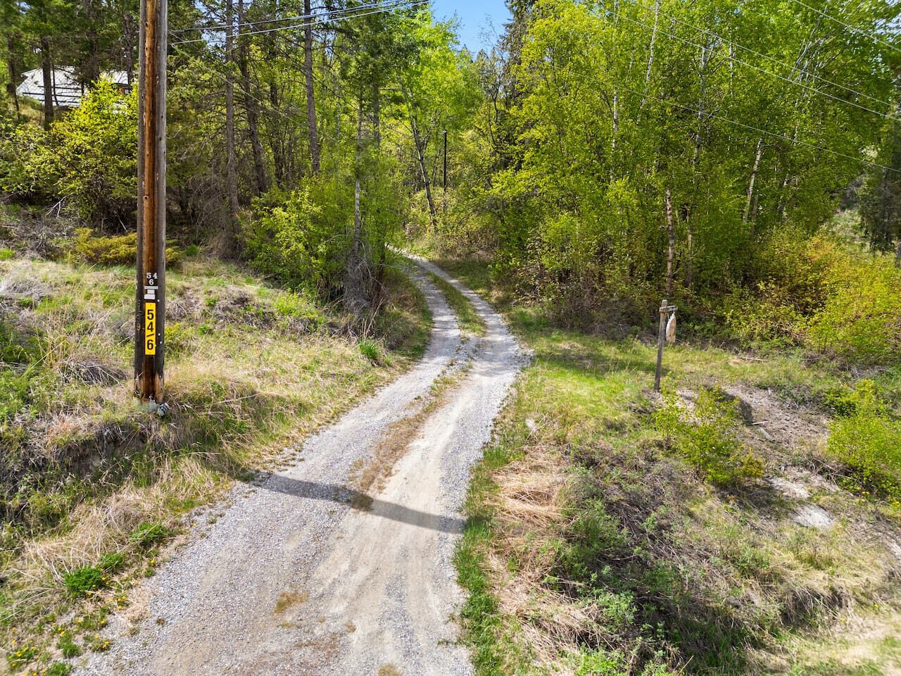 A gravel path surrounded by dense green foliage and a utility pole with numbers 546 visible.