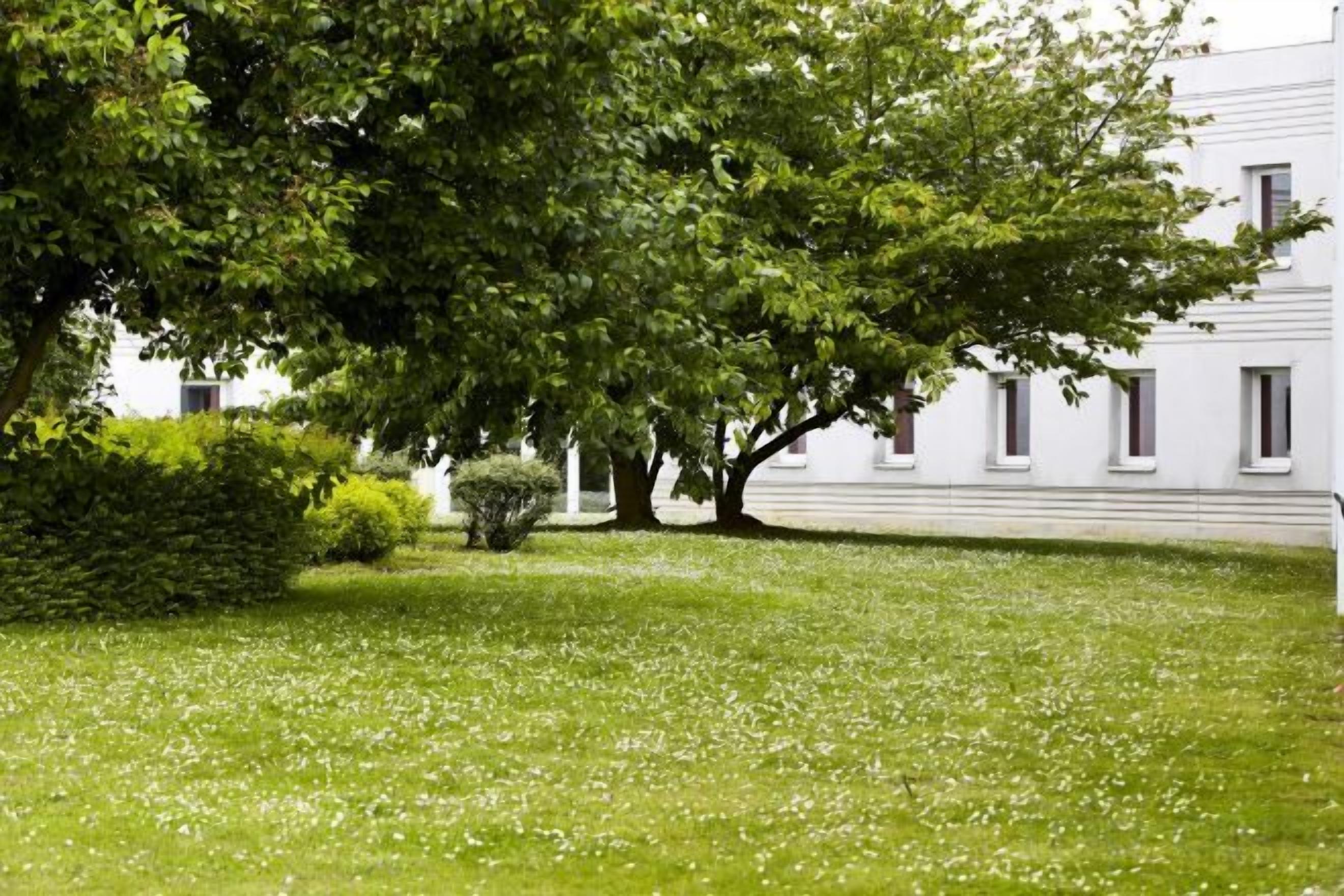 Un edificio con un gran árbol en primer plano, un césped y fachada blanca.